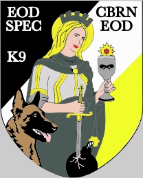 Bundeswehr Einsatzkompanie Kampfmittelabwehr